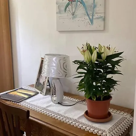 Apartment Casa Boss Stazione Smn